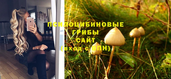 хмурый Наволоки
