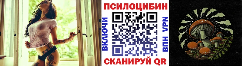 Галлюциногенные грибы Psilocybe  Купить  Заозёрск 